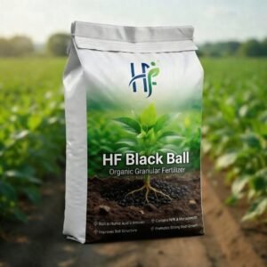 hf black ball ogranic granular fertilizer